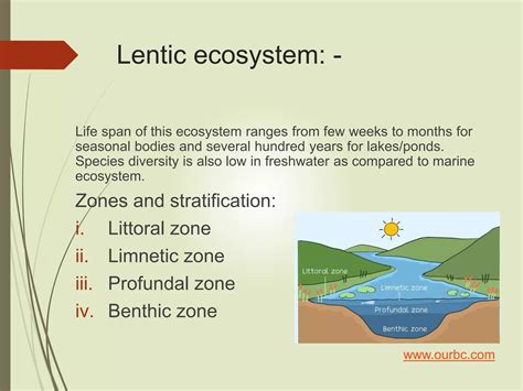 Freshwater Ecosystem PPT