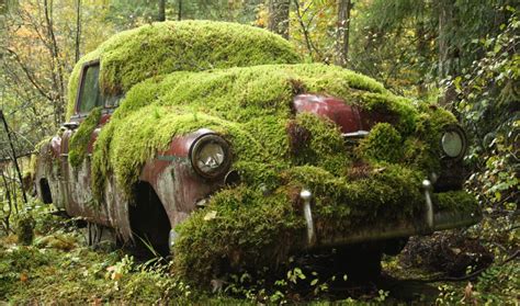 Descubre El Impactante Cementerio De Coches De Lujo En Dubai Bajo El Agua