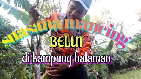 Keseruan Mancing Belut Di Sawahdi Kolam Youtube