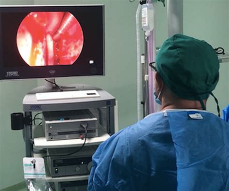 Functional Endoscopic Sinus Surgery Fess Kosovasinus