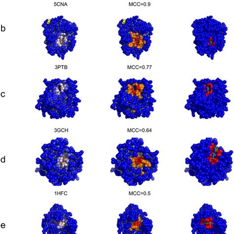 Examples Of Ligand Binding Site Predictions In S48b Testing Set Panels