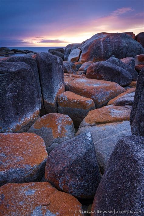 Bay Of Fires Sunrise Binalong Bay John The Baptist Artworks