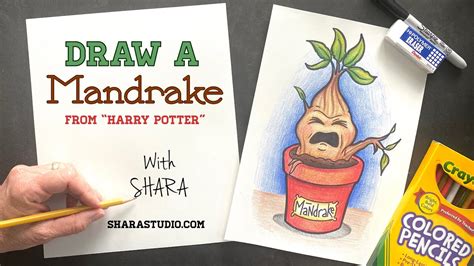 How to draw a Mandrake - YouTube