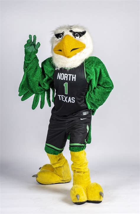 Scrappy Photo Gallery University Of North Texas