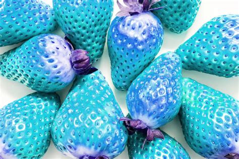 Blue Strawberries Real