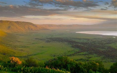 Interview With Dr Freddy Manongi Conservator Of The Ngorongoro