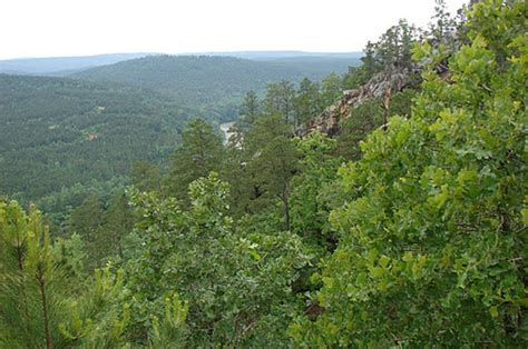 Honobia Creek Wildlife Management Area Oklahomas