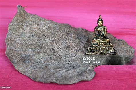 Buddha And Bodhi Leaves Dry Pink On The Wooden Floor Stock Photo