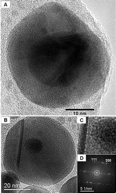 HR TEM Images Of The Bimetallic Nanoparticles A B The Particles Are