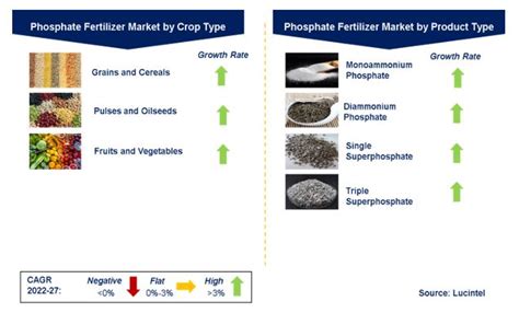 Phosphate Fertilizer Industry