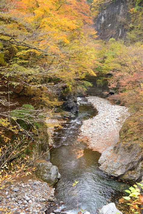 中津峡の紅葉～埼玉県秩父市③ 気まぐれフォトダイアリー