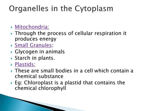 Cells Cell Theory Ppt Download