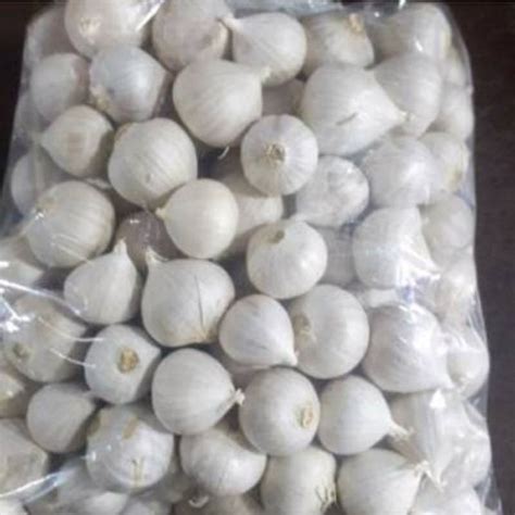 Jual Promo Bawang Putih Tunggal Lanang Putih Bersih 1kg Free Box