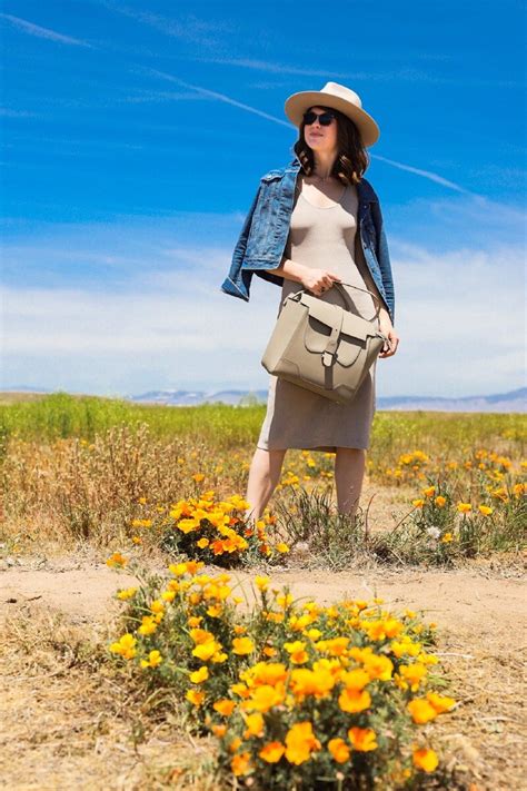 Visiting Antelope Valley California Poppy Reserve LMents Of Style