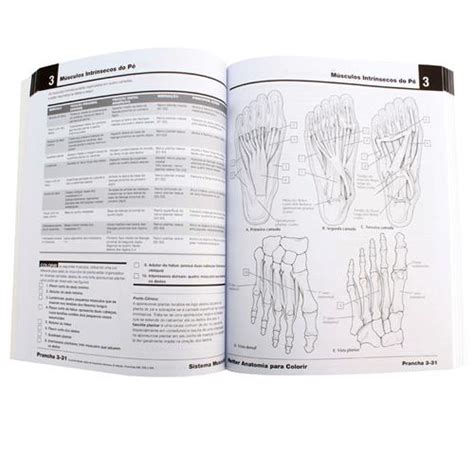 Livro Netter Anatomia Para Colorir 2ª Edição 2015 John T Hansen Livros De Anatomia