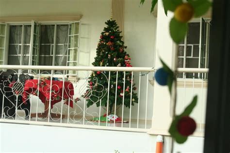 Christmas Tree In The Terrace Box Fan Terrace Home Appliances
