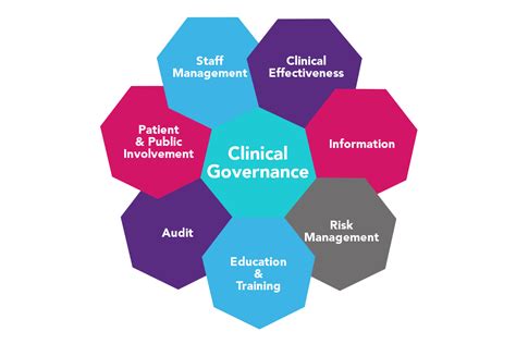 Clinical Governance Stia Schema Therapy Institute Australia