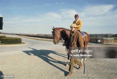 70 Secretariat Racehorse Stock Photos, High-Res Pictures, and Images ...