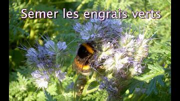 Quel Est Le Meilleur Engrais Naturel Pour Le Jardin Cartes Postales