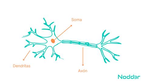 Deep Learning Y Redes Neuronales Artificiales