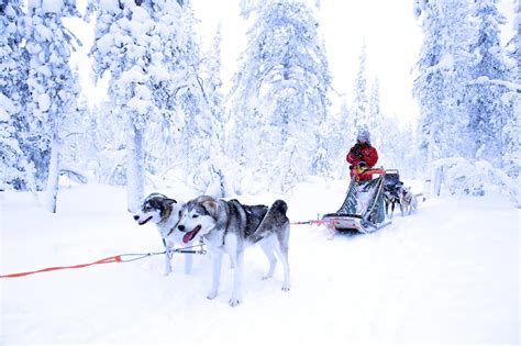 Voyage Laponie Père Noël 2025 2026 décembre 2025 janvier 2026 Tout