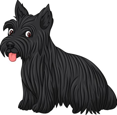 Scottish Terrier Dog Breed 8733837 Vector Art At Vecteezy