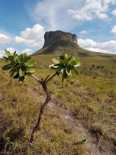 Chapada Diamantina Aventura Sabor e Conexão a Natureza Muito