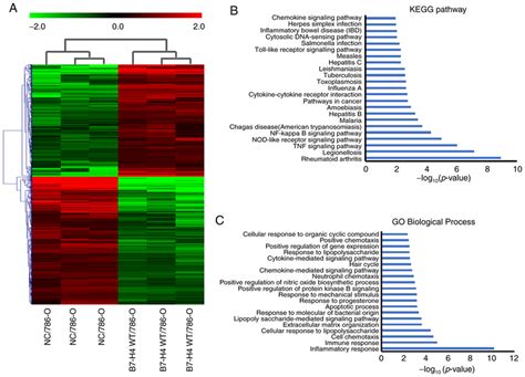 Identification Of Degs Between Nc786 O And B7 H4786 O Cell Lines By