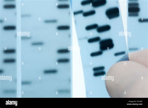 Le séquençage de l ADN Points aux bandes représentant scientifique