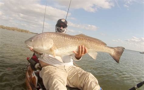 Inshore Fishing Library Your Ultimate Saltwater Inshore Fishing