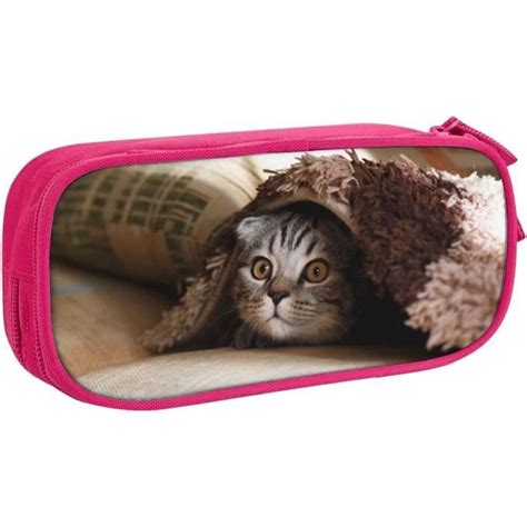 Grande Trousse Crayons En Forme De Chat Avec Compartiments Pour