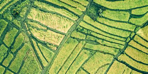 Centering Indigenous And Collective Land Rights Within International