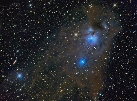 Reflection Nebula Ngc 5367 Stardust Observatory