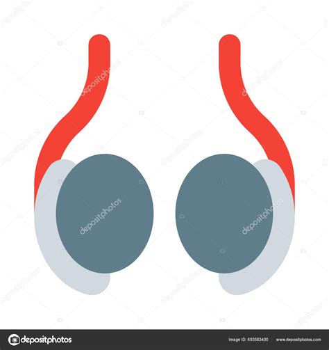 Testicle Testis Plural Testes Male Reproductive Gland Stock Vector By