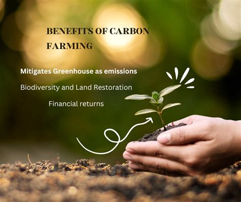 How Carbon Farming Can Help Combat Climate Change