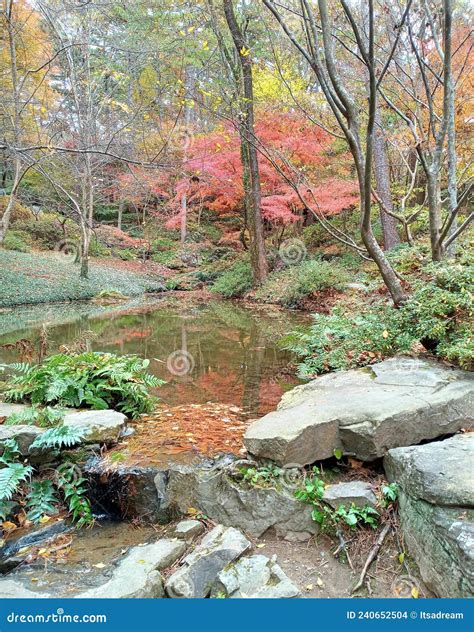 Garvan Woodland Garden Editorial Stock Image Image Of Fall 240652504