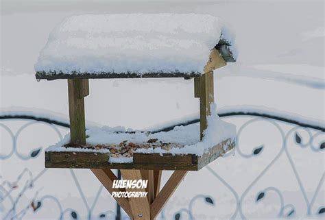 A Weng Naus 2221 Spaziergang Im Schnee KitziBlog