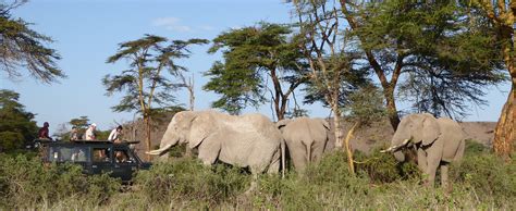 The elephants of Amboseli « Howard Saunders Safaris