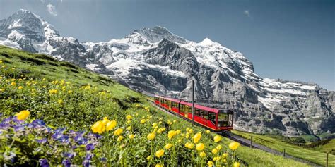 Book tickets online now and fly into the world | SWISS