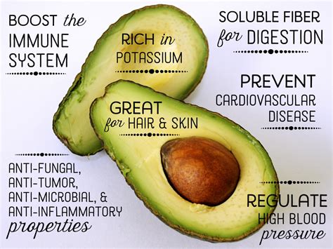 20 Ways to Use Avocado Seeds - ToughNickel