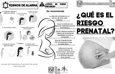 Riesgo prenatal triptico QUÉ ES EL RIESGO PRENATAL UNIVERSIDAD