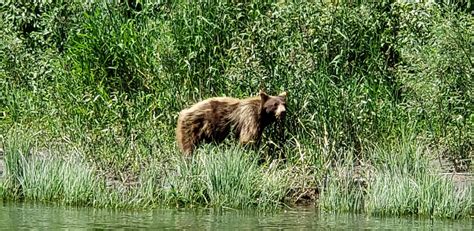 Klamath River Jet Boat Tours 2022 What To Know Before You Go