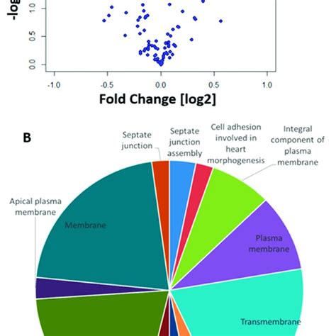 Differences In Mirna Expression A Volcano Plot Showing Download