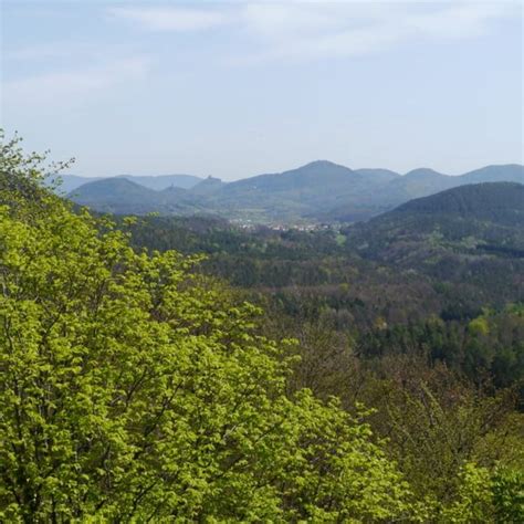 Wandern Pfälzer Rundwanderung mit Einkehr Cramerhaus Tour 113867