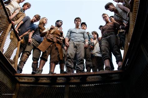 Reseña De The Maze Runner Correr O Morir Cinencuentro