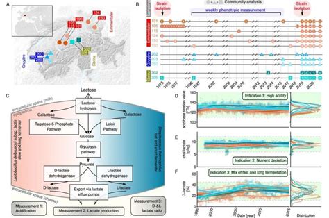 A History Of Bacteria Domestication Researchers Investigate Genetic