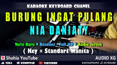 BURUNG INGAT PULANG NIA DANIATY KARAOKE DISCO REMIX NADA WANITA