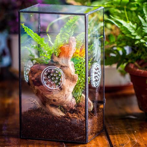 Snapklik NCYP Glass Terrarium