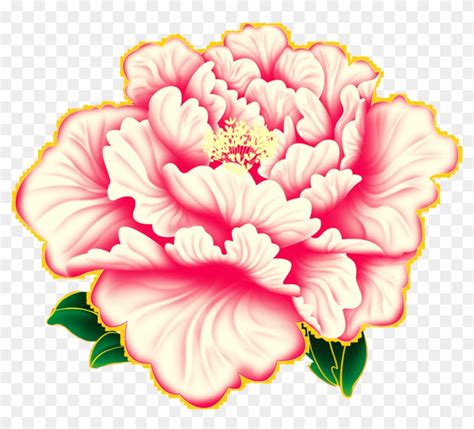 Moutan Peony Flower Sina Weibo Avatar Chinese New Year Peony Free