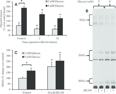 Exposure To Jzl184 Reduced Glycerol Release And Increased Mag Species Download Scientific